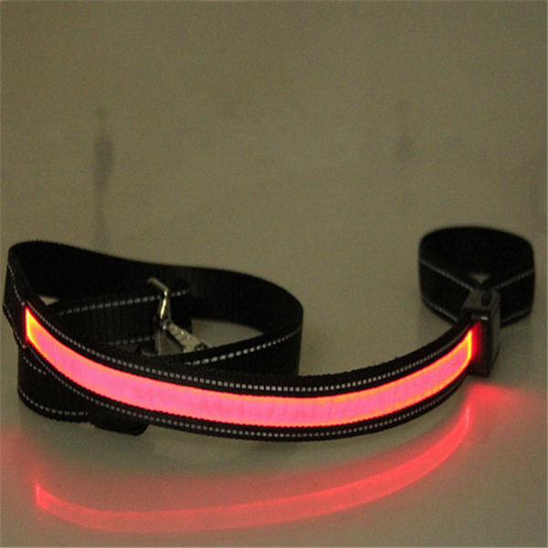Fluorescent Dog Collar/Leash