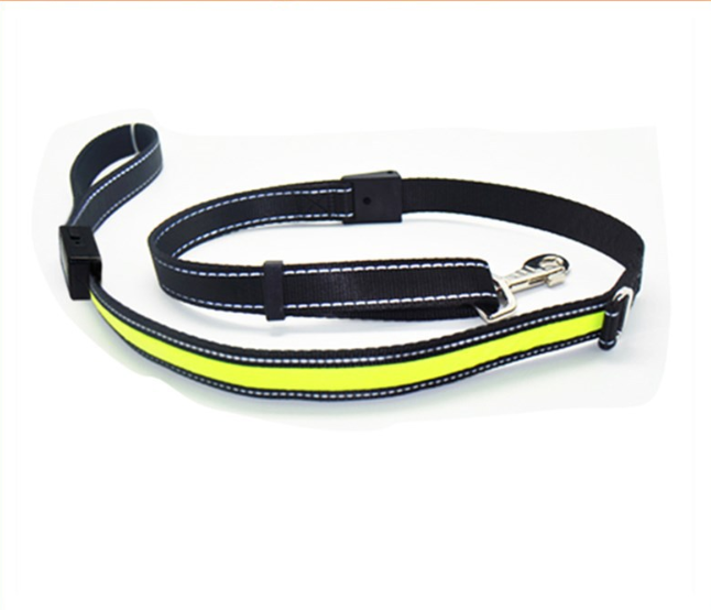 Fluorescent Dog Collar/Leash