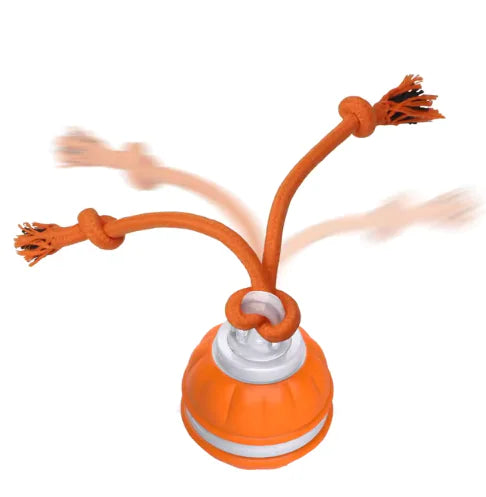Interactive Dog Ball