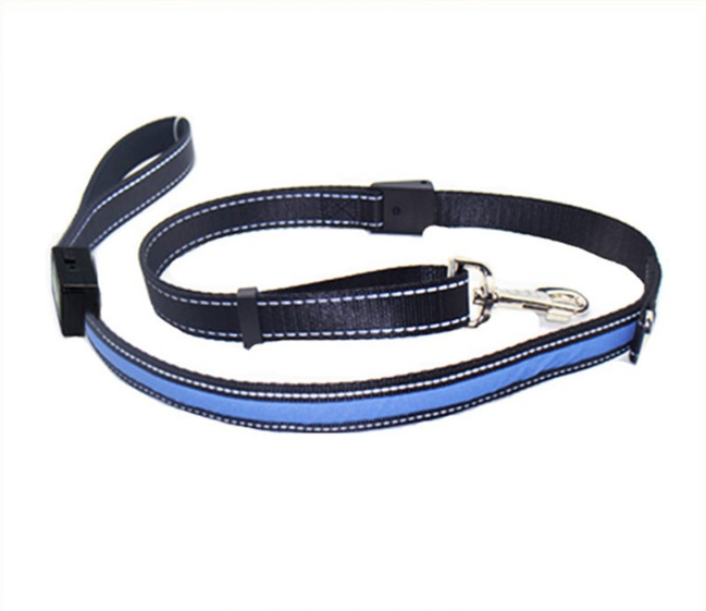 Fluorescent Dog Collar/Leash