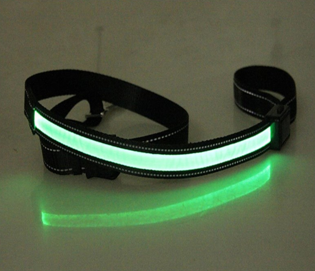 Fluorescent Dog Collar/Leash
