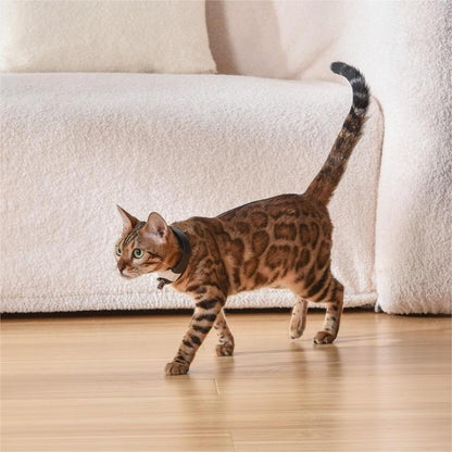 Cat Laser Collar for Interactive Play