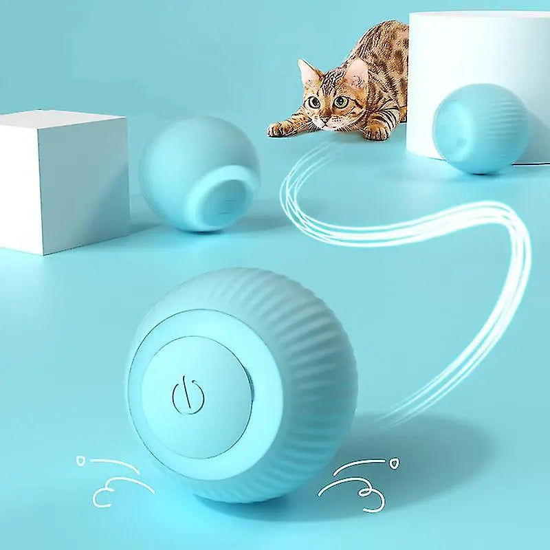 Self-Rolling Pet Ball
