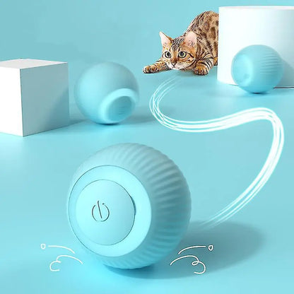 Self-Rolling Pet Ball