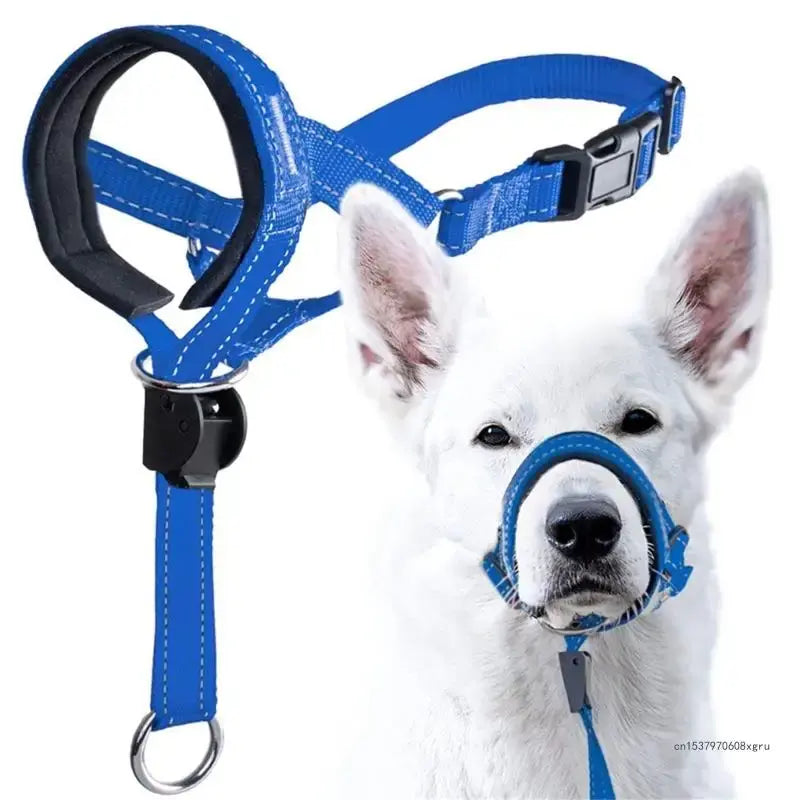 Halter Style Training Collar