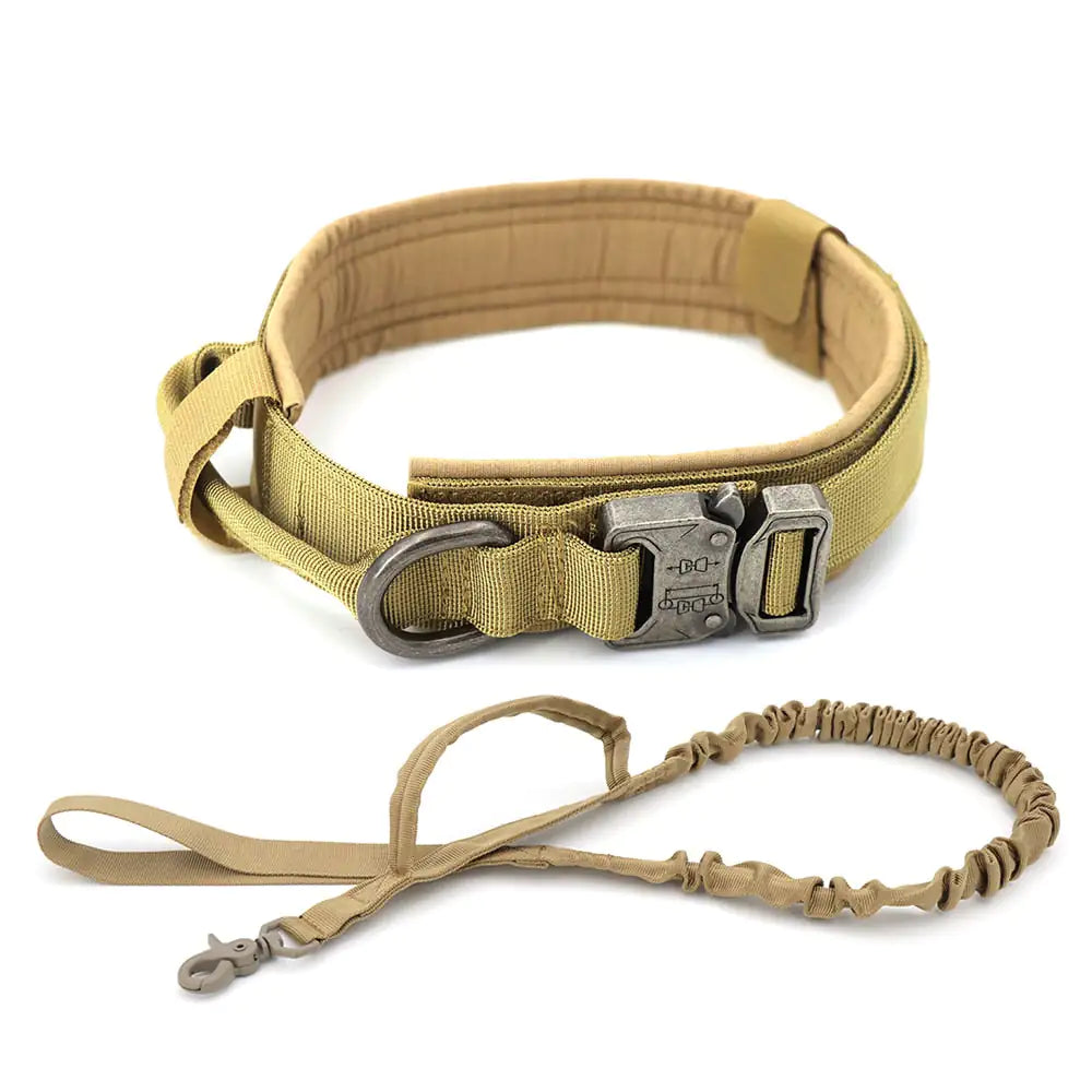 Military Grade Dog Collar Set