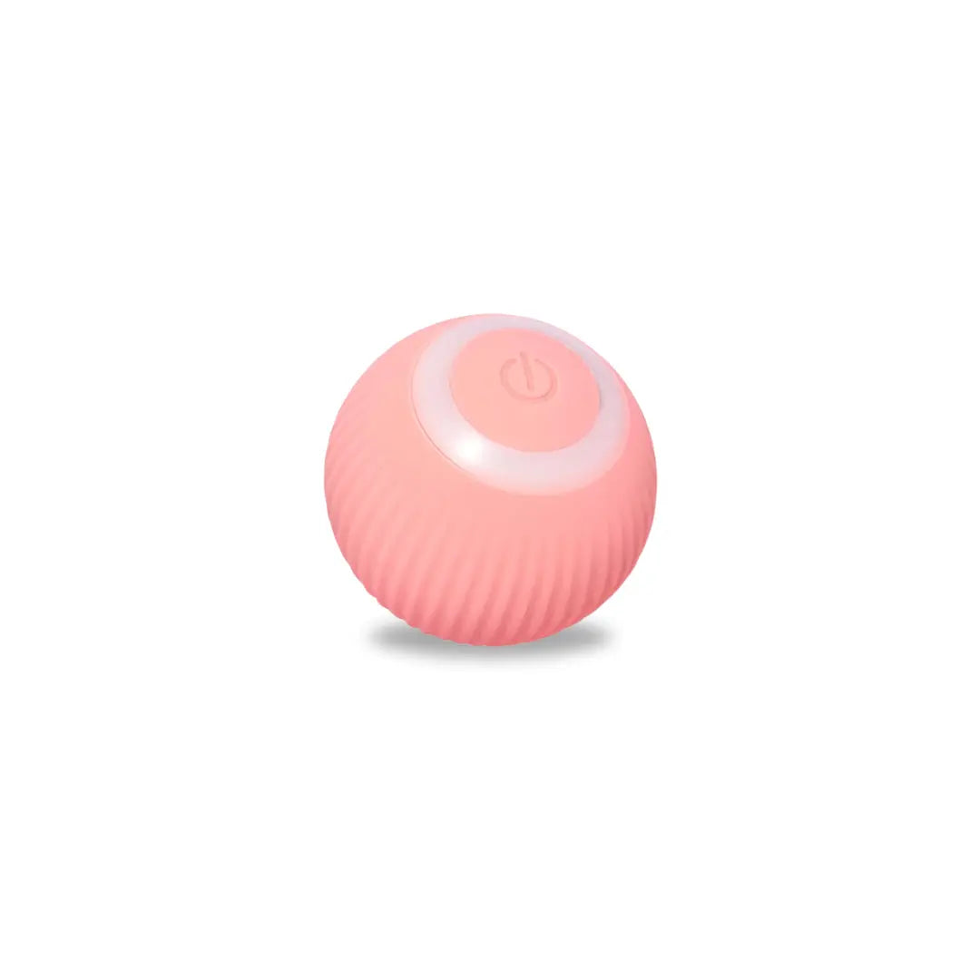 Self-Rolling Pet Ball
