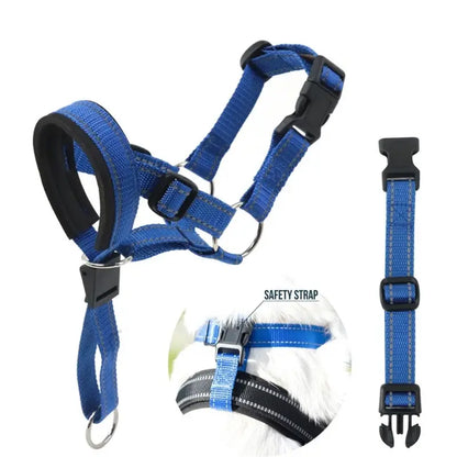 Halter Style Training Collar