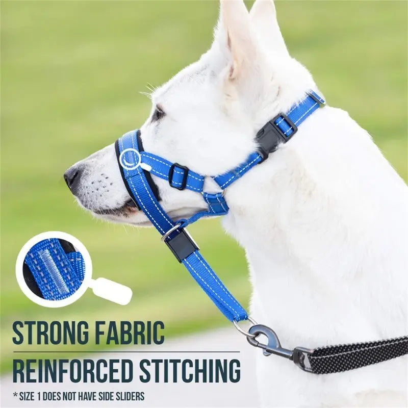 Halter Style Training Collar