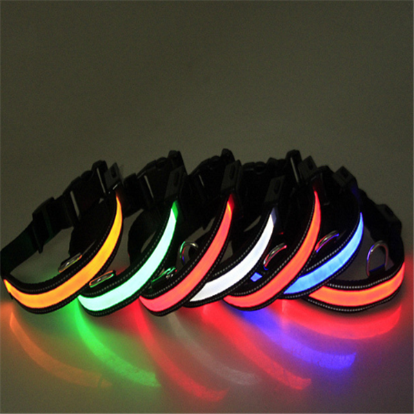 Fluorescent Dog Collar/Leash