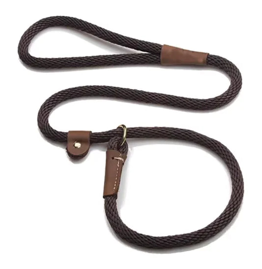 Adjustable Slip Lead Leash