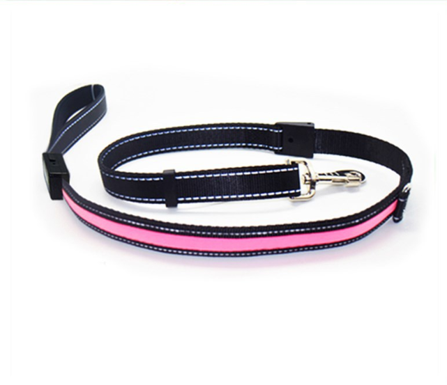 Fluorescent Dog Collar/Leash