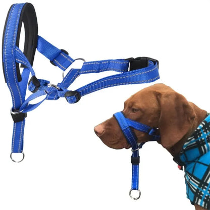 Halter Style Training Collar