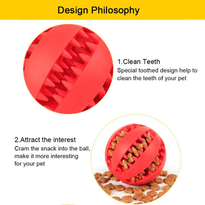 2 in 1 Rubber Toy Ball